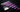 Unleash the Power: Exciting New Products from SLRspeed Await!