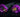 purple camber plates on coilovers for an E46 BMW