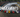 A line of 10 cars from a drone shot, on a florida race track drifting with crowds all around. Title over the image says DRIFT EVENTS