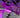 portable purple toe plates for suspension tuning